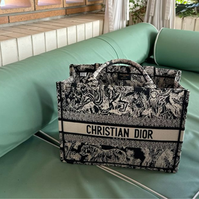 Bolsa DlOR — Book Tote